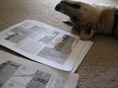 A Year in the Round: Tipi Erectus Image